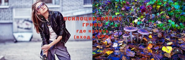 дмт Аркадак