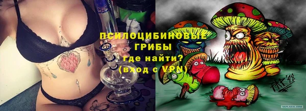 дмт Аркадак