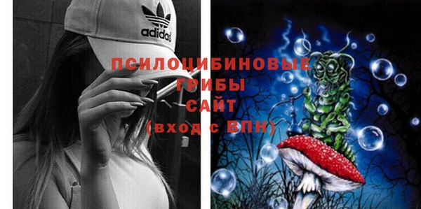 дмт Аркадак