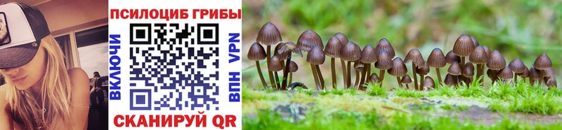 Псилоцибиновые грибы GOLDEN TEACHER  даркнет состав  Татарск 